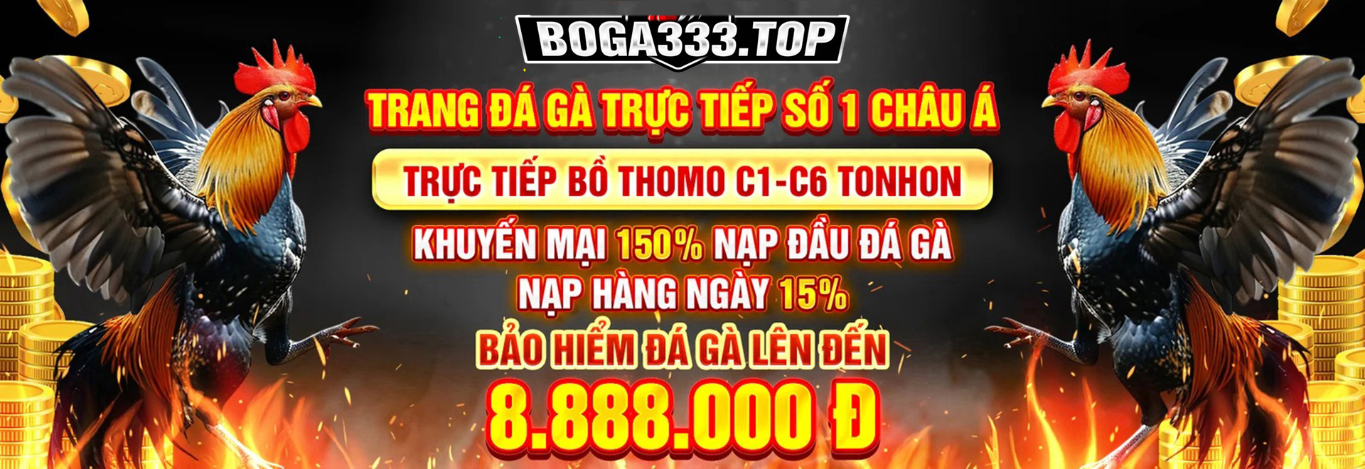 banner-boga333-top